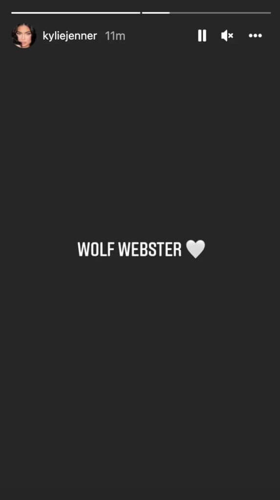 Wolf Webster Middle Name