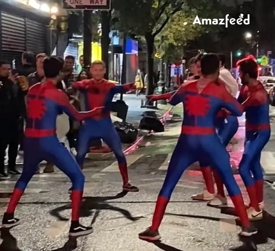 Spider-Man In Multiverse Meme Costume