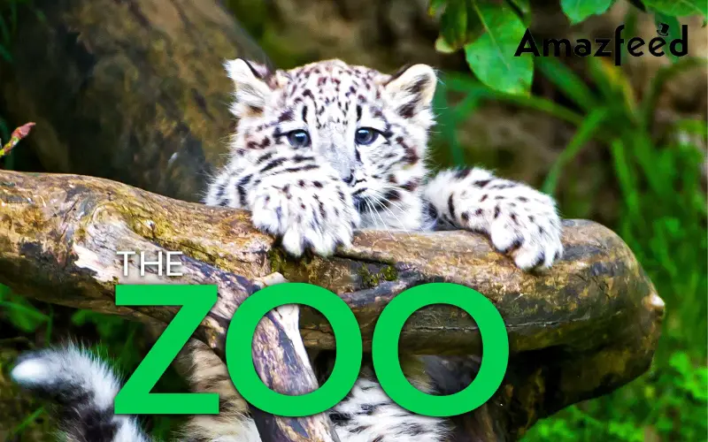 Zoo season 6