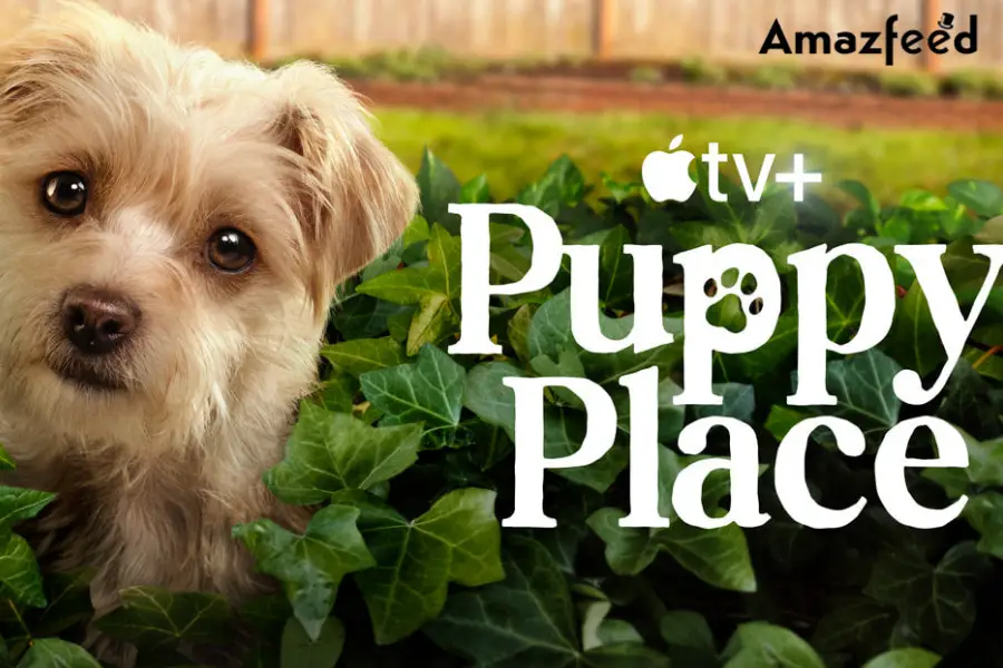 Will Season 3 Of Puppy Place – Canceled Or Renewed?