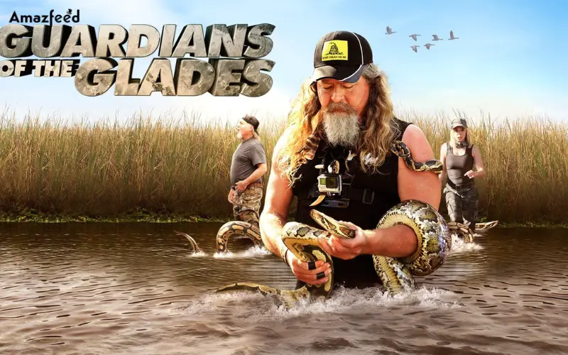 guardians of the glades season 3 quick info