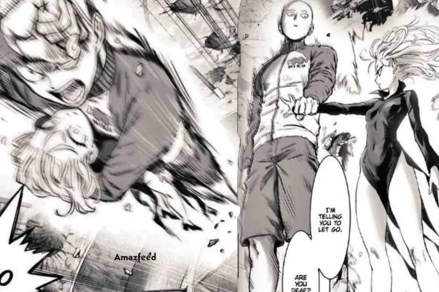 One Punch Man Chapter 179.3