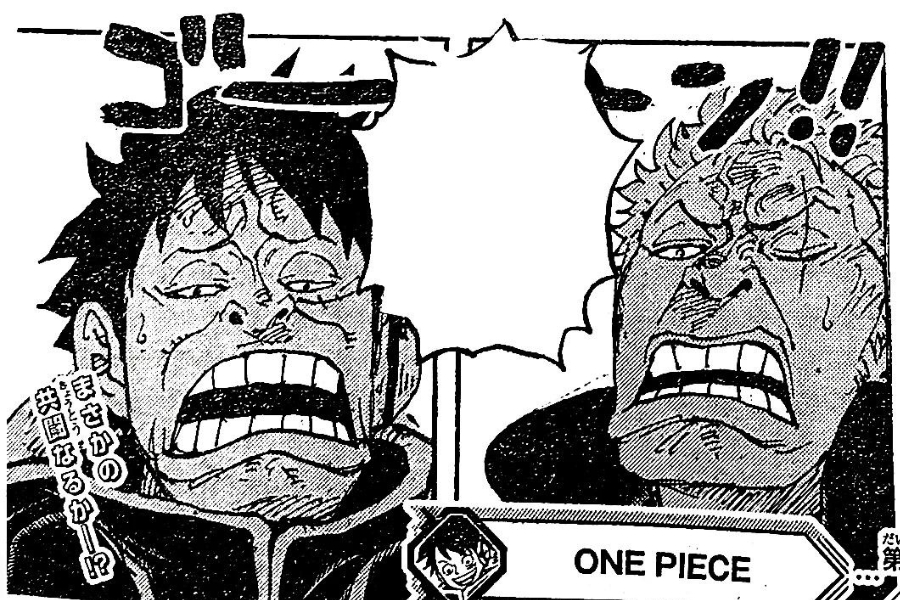 spoiler chapter 1078 dari reddit #spoilers #chapter1078 #onepiecechapt