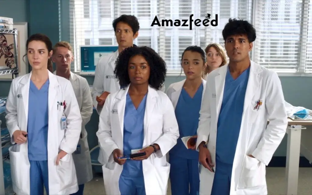 Greys Anatomy season 19
