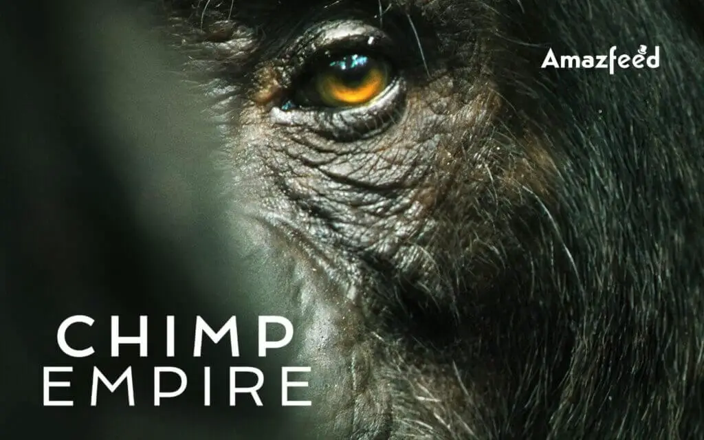 Chimp Empire Season 2 Coming Out
