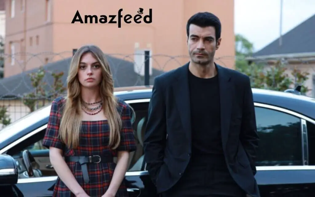 Gulcemal Episode 10 Review