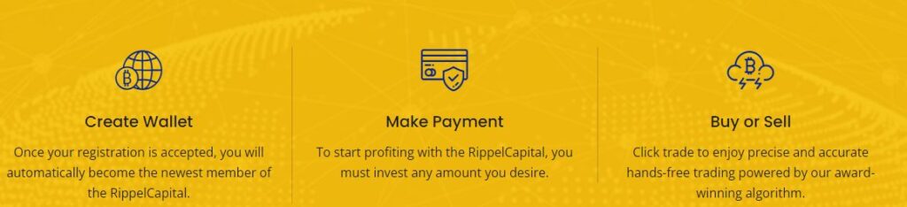 RippelCapital image3