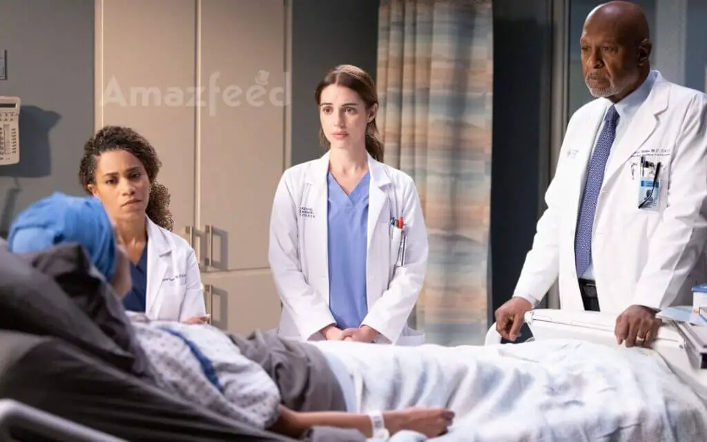Grey's Anatomy Season 20 overview