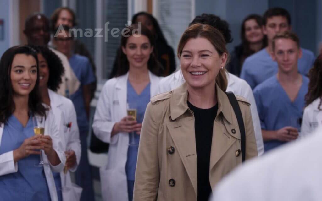Grey's Anatomy Season 20 spoilers