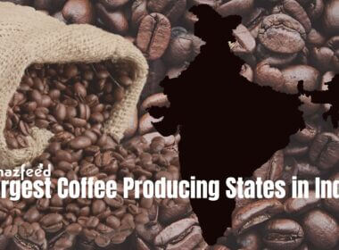 Largest Coffee Producing States in India