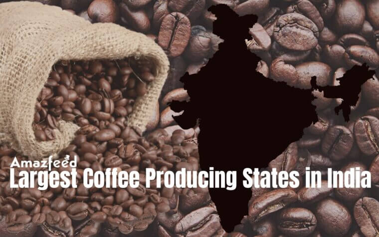 Largest Coffee Producing States in India » Amazfeed