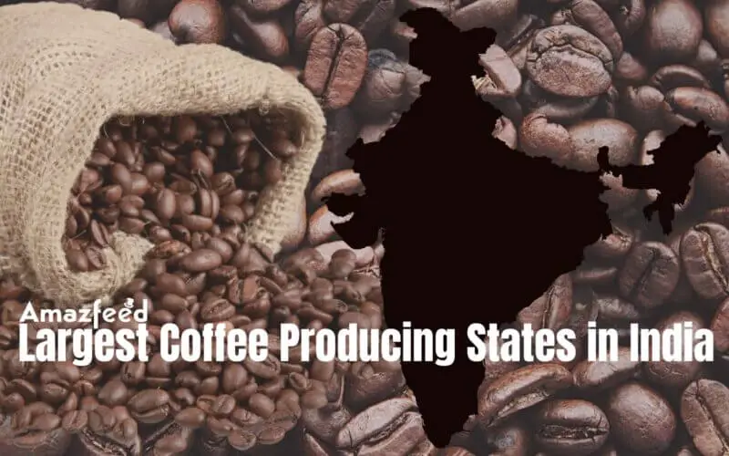 Largest Coffee Producing States in India