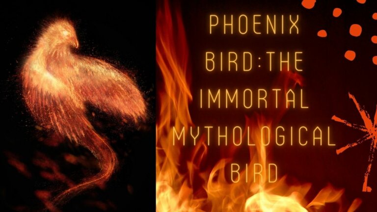 Phoenix Bird: The Immortal Mythological Bird » Amazfeed