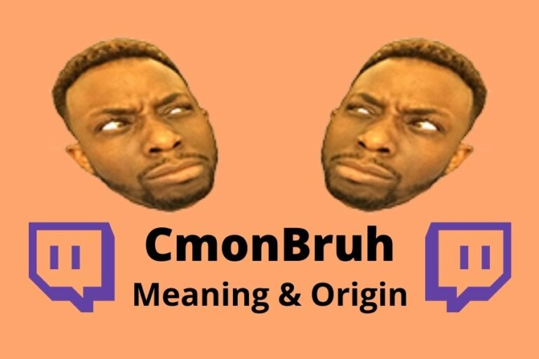 CmonBruh Twitch Emote Origin Archives » Amazfeed