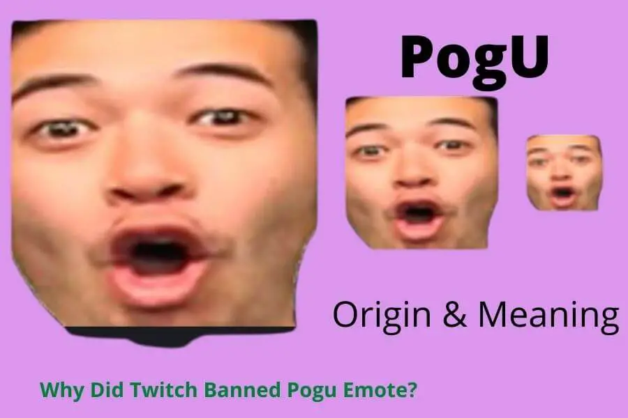[PogU] ⇒ Do You Know What PogU Twitch Emote Means, Origin & More ...