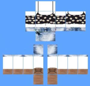 Roblox Clothes Template - Shirt, T-Shirt, Pant template Making and ...