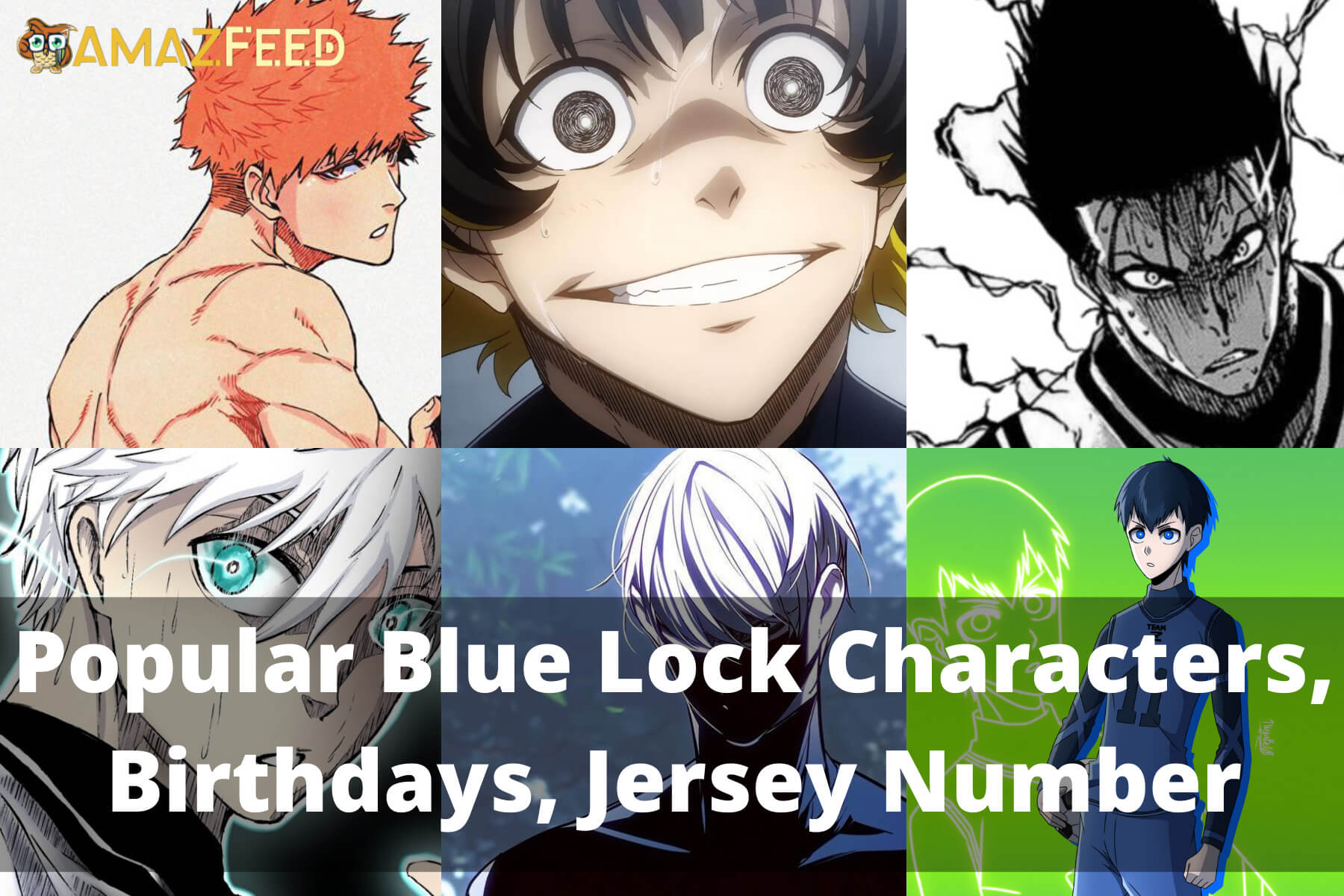 Category:Characters, Blue Lock Wiki