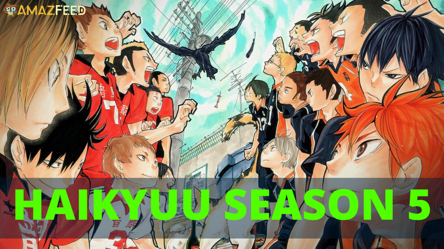 Haikyuu Anime Season 5 Release Date Plot Trailer And News For Anime Series Amazfeed 7542