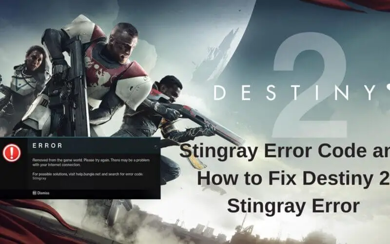 Destiny 2 Stingray Error Code and How to Fix Destiny 2 Stingray Error