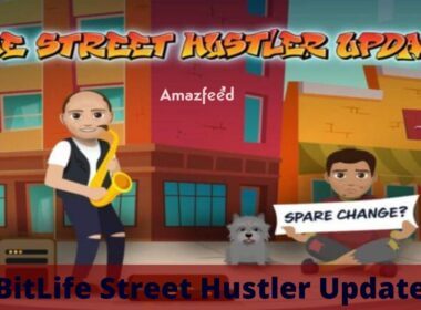 BitLife Street Hustler Update