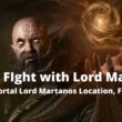 How to FIght with Lord Martanos Diablo Immortal Lord Martanos Location, Fight Pattern