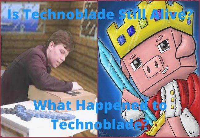 Blue on X: @youtooz @technoblade Why is technoblade's crown wrong