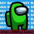 What is Sussy Baka?