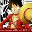 When One piece manga will be back With It's 'Final Saga'