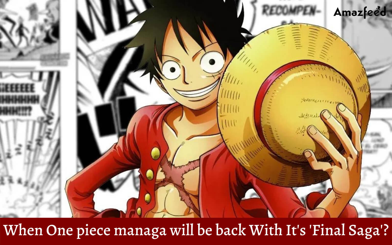 One Piece: Após hiato anime retorna para a sua saga final