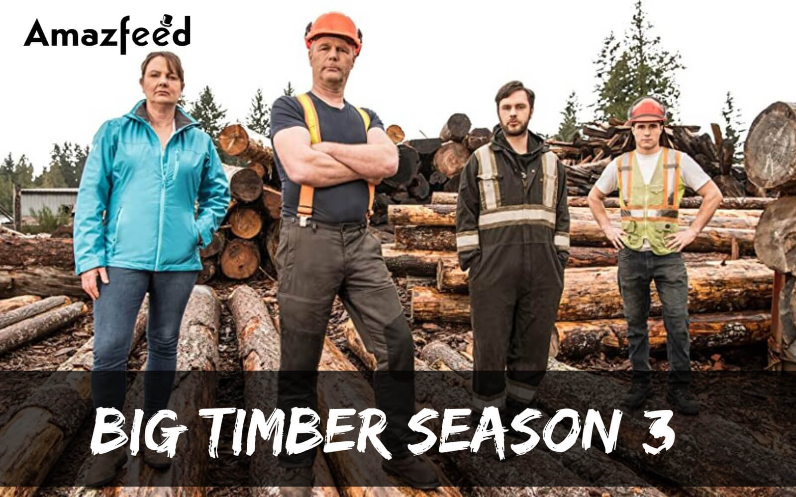 Big Timber Season 3: Confirmed Release Date, Did The Show Finally Get ...