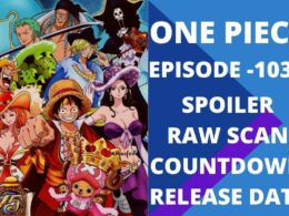 One Piece Episode 1030 Reddit Spoilers, Release Date and Leaks, Cast, Trailer