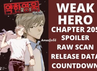Weak Hero Chapter 205 Spoiler, Raw Scan, Color Page, Release Date, Countdown