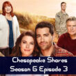 Chesapeake Shores Season 6 Episode 3 Recap