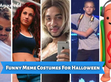 Funny Meme Costumes For Halloween