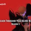 Bleach Thousand-Year Blood War Season 3.1