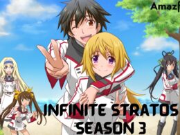 Infinite Stratos season 3 poster
