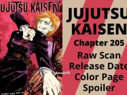 Jujutsu Kaisen Chapter 205 Spoiler, Raw Scan, Release Date, Count Down