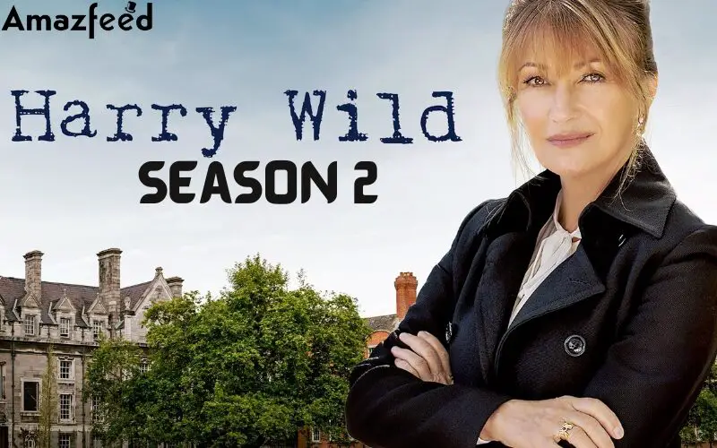 Harry Wild Season 2 poster
