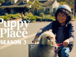 Puppy Place Season 3 Renewed Or Canceled