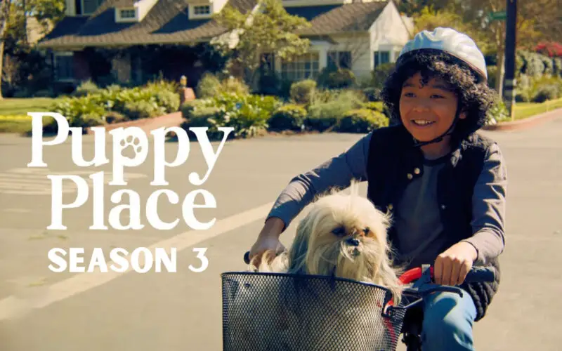 Puppy Place Season 3 Renewed Or Canceled