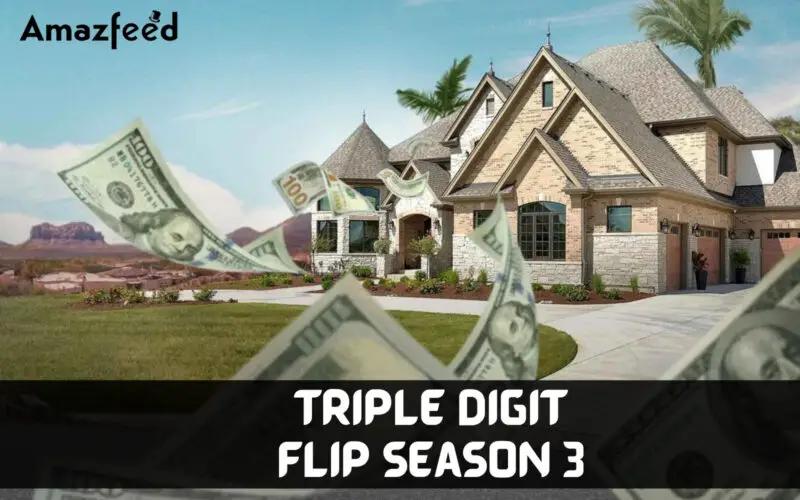 When is Triple Digit Flip season 3 Coming Out