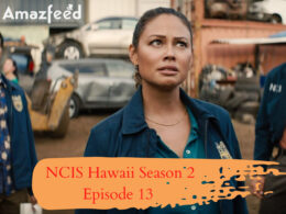 Is There Any News NCIS Hawaii Season 2 Episode 13 Trailer