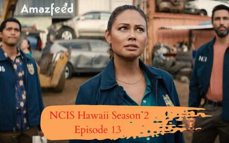 Is There Any News NCIS Hawaii Season 2 Episode 13 Trailer