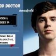 The Good Doctor Season 6 Episode 14