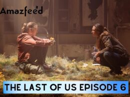 The Last of Us Episode 6