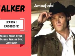 Walker Season 3 Episode 12