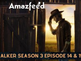 Walker Season 3 Episode 14 & 15