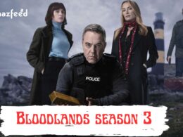 When Is Bloodlands Season 3 Coming Out (Release Date)