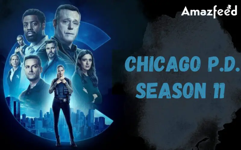 Who will star in Chicago P.D. Season 11