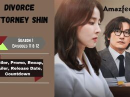 Divorce Attorney Shin Episodes 11 & 12